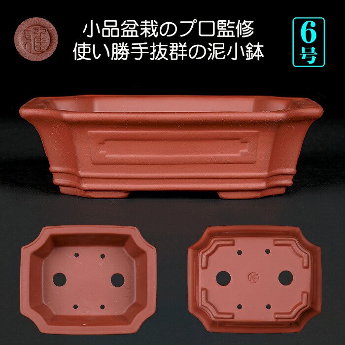 盆栽鉢 6号」の人気商品一覧 | 安い商品を通販サイトから探す - 価格.com