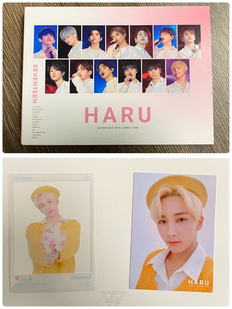 ジョンハン　SEVENTEEN 2019 JAPAN TOUR HARU トレカ Seventeen 2019 Japan Tour Haru Trading Card set Cr. taru_kawauso